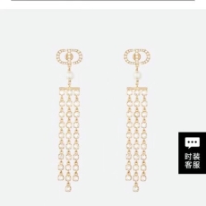 Christian Dior Earrings